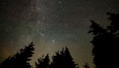 Perseid meteor shower begins: Here’s the best time to watch it