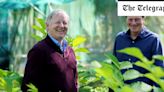 Crocus founders on the Chelsea Flower Show: ‘It’s not necessarily about horticulture at the highest level’
