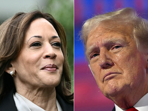 Kamala Harris' Campaign Targets Trump On "Don't Have To Vote Again" Remark
