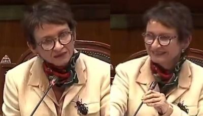 Lapsus de Carolina Tohá sacó aplausos tras confundir a Piñera con Boric