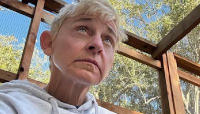 Ellen DeGeneres Reveals She's Done With Show Business After Her Next Netflix Special