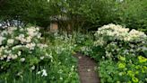 Water amphitheatres and edible meadows: Our pick of the best gardens at the Chelsea Flower Show