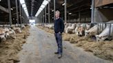 Frustrated farmers are rebelling against EU rules. The far right is stoking the flames