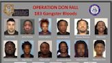 17 alleged Ga. gang members facing 136 charges from murder to drugs, arson