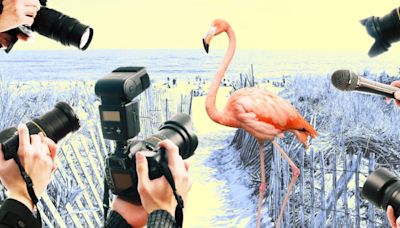 The Hottest Celebrity in the Hamptons This Summer Is... a Flamingo