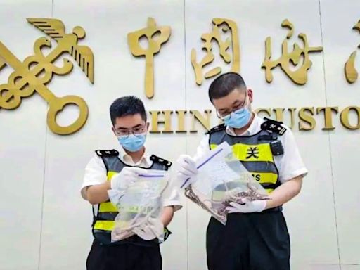 100 snakes found in man’s trousers at Hong Kong-Shenzhen border