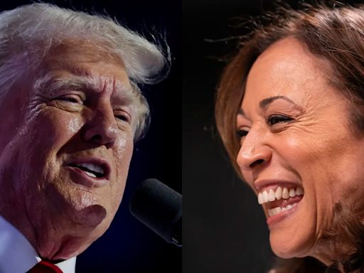 Kamala Harris acorta la brecha con Trump en la carrera presidencial 2024 según las últimas encuestas