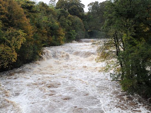 Water firms’ performance on sewage spills ‘unacceptable’, regulator says