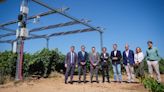 San Gabriel estrena el primer piloto agrovoltaico de España con estructura elevada sobre viñedo