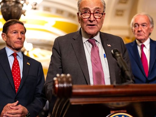 Líder demócrata en el Senado presenta proyecto de ley para revertir decisión sobre inmunidad presidencial
