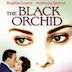 The Black Orchid (film)