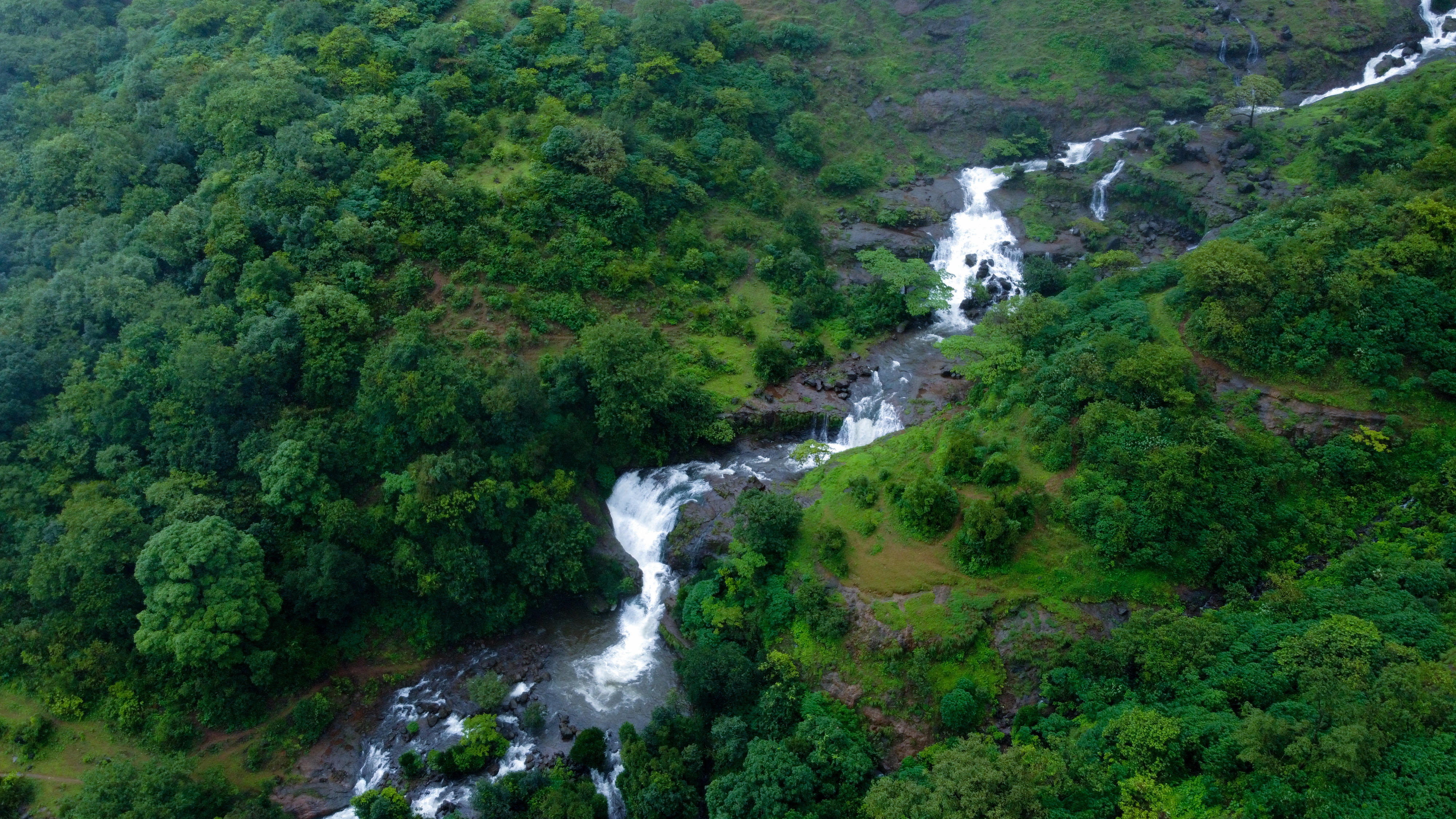 Woman found chained to tree in jungle says husband left her to die