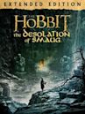 El hobbit: la desolación de Smaug