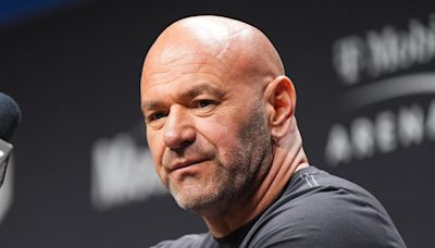 Huge Injury Update On UFC Champion Could Impact Final PPV Of 2024