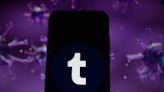 Tumblr's 'fediverse' integration is still being worked on, says owner and Automattic CEO Matt Mullenweg