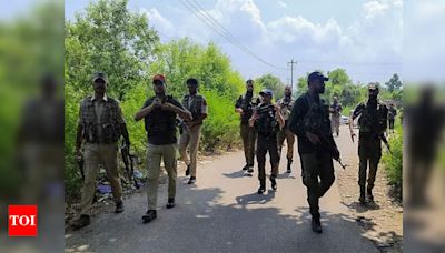 Devise plan to crush terror, plug infiltration routes: J&K LG to forces | India News - Times of India