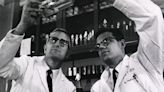 Murió a los 91 años Paul Parkman, inventor de la vacuna contra la rubéola