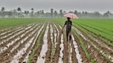 July begins with healthy rainfall, sowing status better than last year: Report