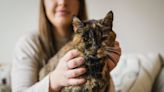 Flossie, 26, Named World's Oldest Cat by Guinness Book of Records