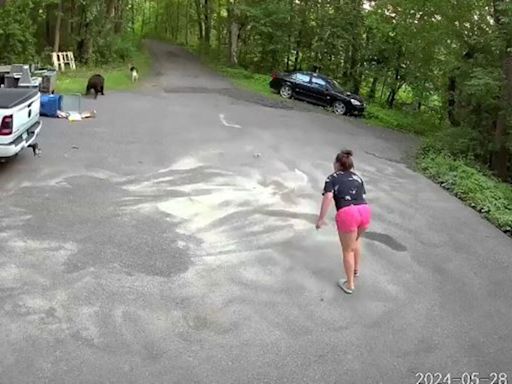 Heart-pounding video shows bear chase dog, then Minnesota woman in driveway: 'Lunged at me'