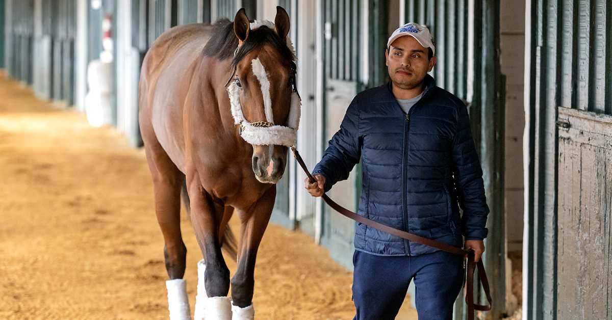 'The Industry Needs Him': Kentucky Derby Winner Mystik Dan Arrives At Pimlico For 149th Preakness