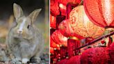 2023 Chinese horoscope: 12 animals forecast for the year of the Water Rabbit by Joey Yap