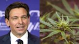 Ron DeSantis' Plan To Scuttle Florida's Cannabis Legalization Initiative With His Vast Fundraising Network, GOP Apparatus