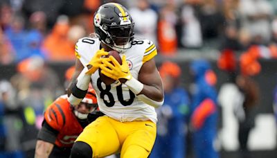 Steelers' Darnell Washington Expecting Breakout Season