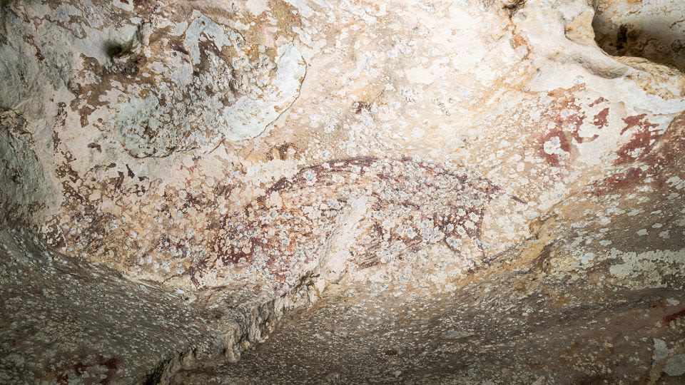 A cave drawing of human figures and a pig is the world’s oldest known narrative art