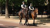 Police horse attacked by dog 'inundated with apples and treats'