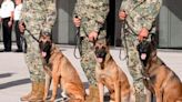 Emotiva Ceremonia de Jubilación para Perros de Trabajo de la Secretaría de Marina