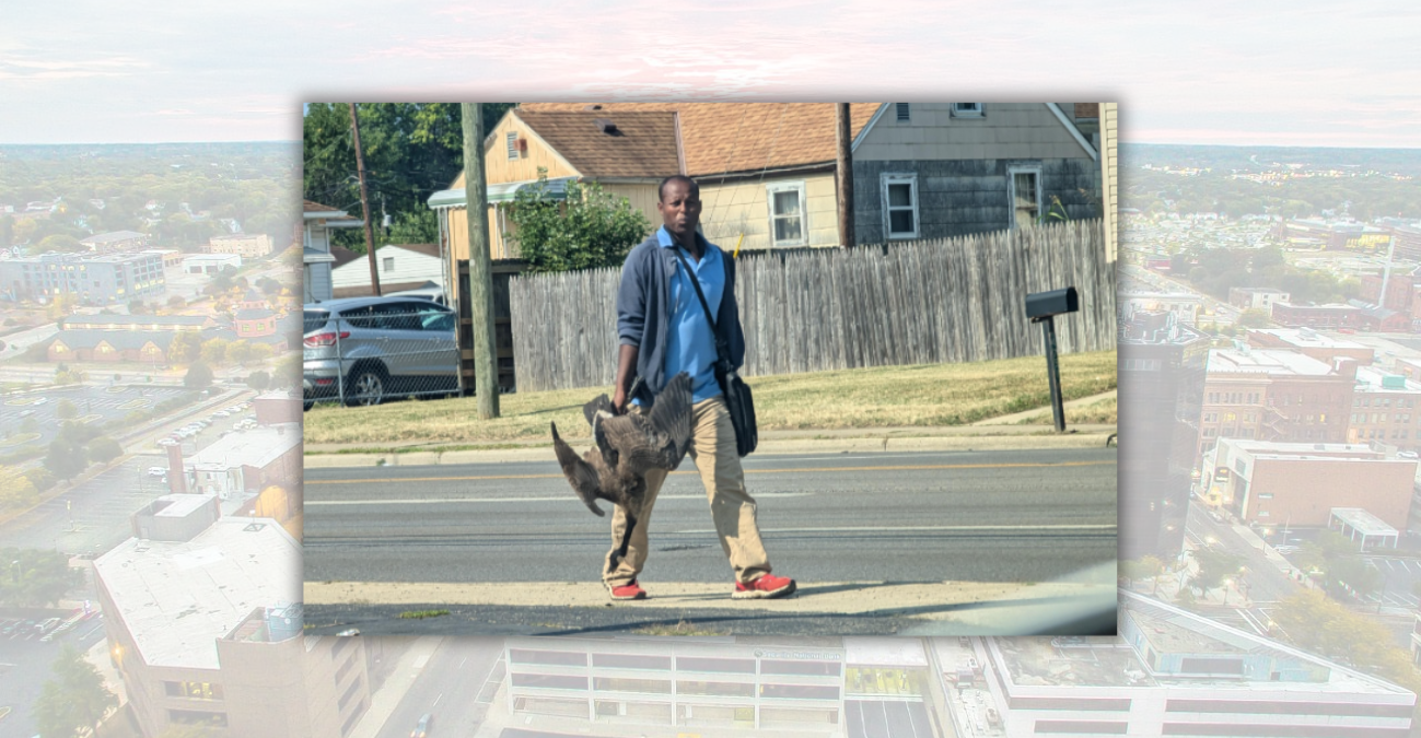 No Evidence That Haitian Immigrants Are Eating Ducks, Geese or Pets in Springfield, Ohio