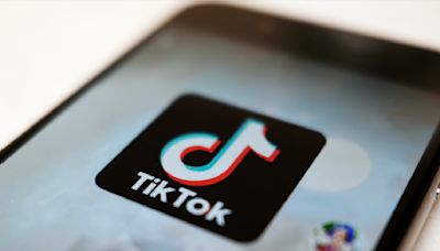 TikTok launches fight for its life in court