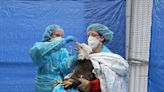 Toll of avian flu mounts, including on eagles and other wild birds