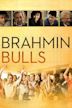 Brahmin Bulls