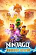 Ninjago: Aufstieg der Drachen