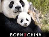 Born in China