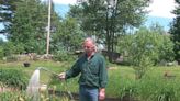 Maine greenhouses report slow start to growing season