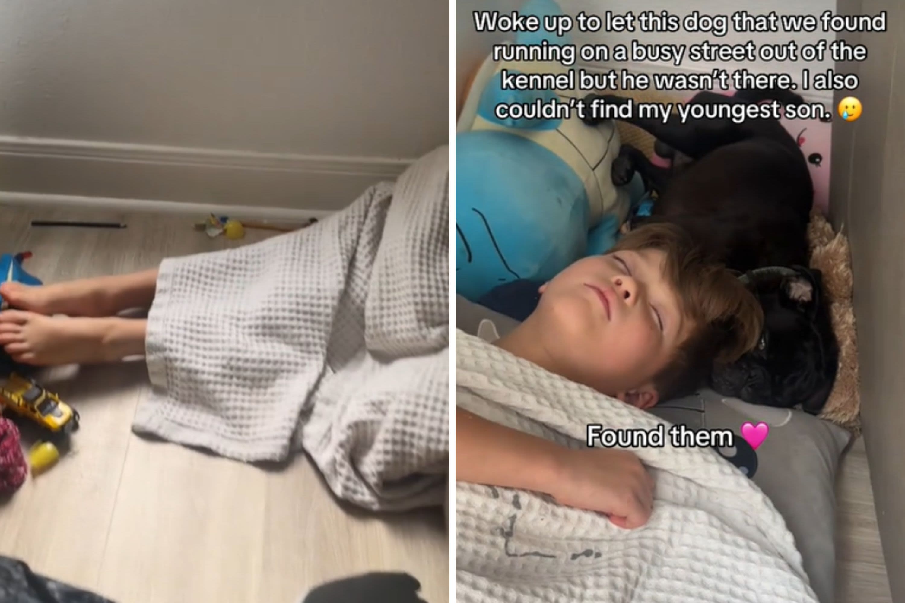 Mom not prepared for where she finds son morning after they rescue a dog
