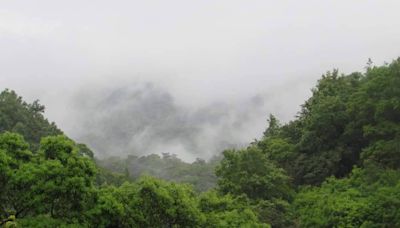 低壓帶影響 留意局部大雨或豪雨