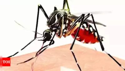 Surge in Malaria and Dengue Cases Sparks Hospital Admissions in Kolkata | Kolkata News - Times of India