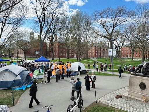 The Surreal Difference Between Harvard and Columbia Protests