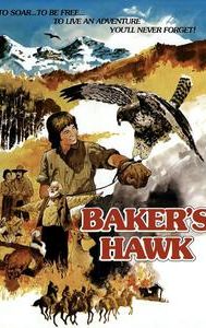 Baker's Hawk