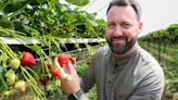 Future of British berry-growing sector ‘hangs in balance’