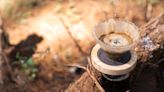 4 coffee-making essentials I couldn't go camping without