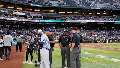 Bee Game: Dodgers and Diamondbacks delayed due to bee swarm