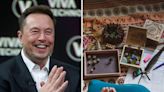 Playing 'Dungeons and Dragons' brought out the 'incredibly patient' and 'beautiful' parts of Elon Musk's personality, his cousin says