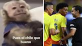 Los mejores memes de César Arturo Ramos por pitar el Uruguay vs Colombia de la Copa América