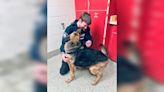 Good Samaritans help rescue dog who was abandoned
