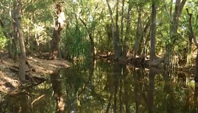 Rangers shot dead a 14-foot crocodile after it killed a girl swimming in an Australian creek